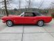 1966 Ford Mustang Convertible Mustang photo 8