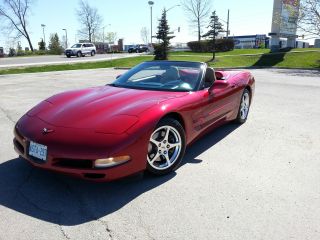 2004 Chevrolet Corvette Base Convertible 2 - Door 5.  7l photo