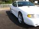 1998 Ford Mustang Cobra Garage - Kept,  Non - Smoker,  Never Wrecked,  100% Orig Paint Mustang photo 5