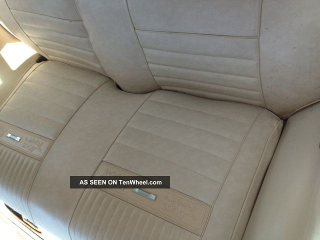 1965 Ford Mustang 6 Cylinder Classic Mustang photo