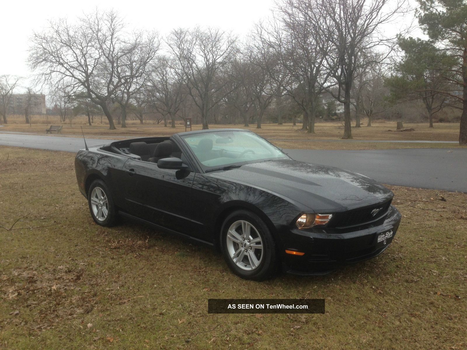 2010 Ford mustang convertible colors #4