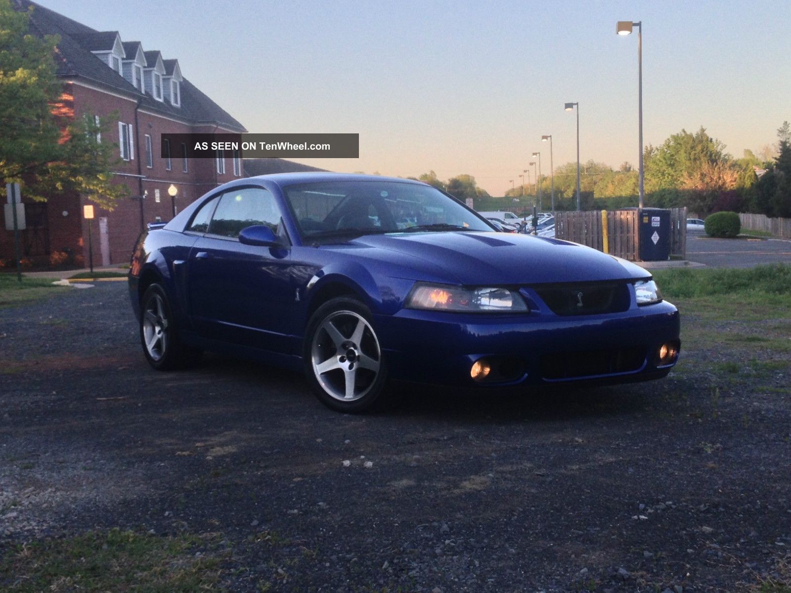 2003 Svt Cobra Mustang Mustang photo