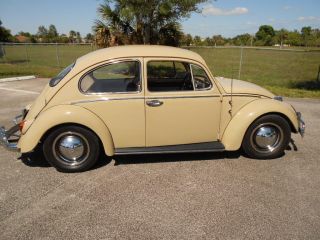 1965 Volkswagen Beetle Coupe photo