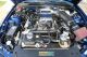 2008 Ford Mustang Shelby Gt500 Snake 427 Edition Mustang photo 9