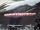 2006 Harley Davidson Sportster 883 Xll Sportster photo 7