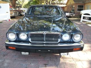 1983 Jaguar photo