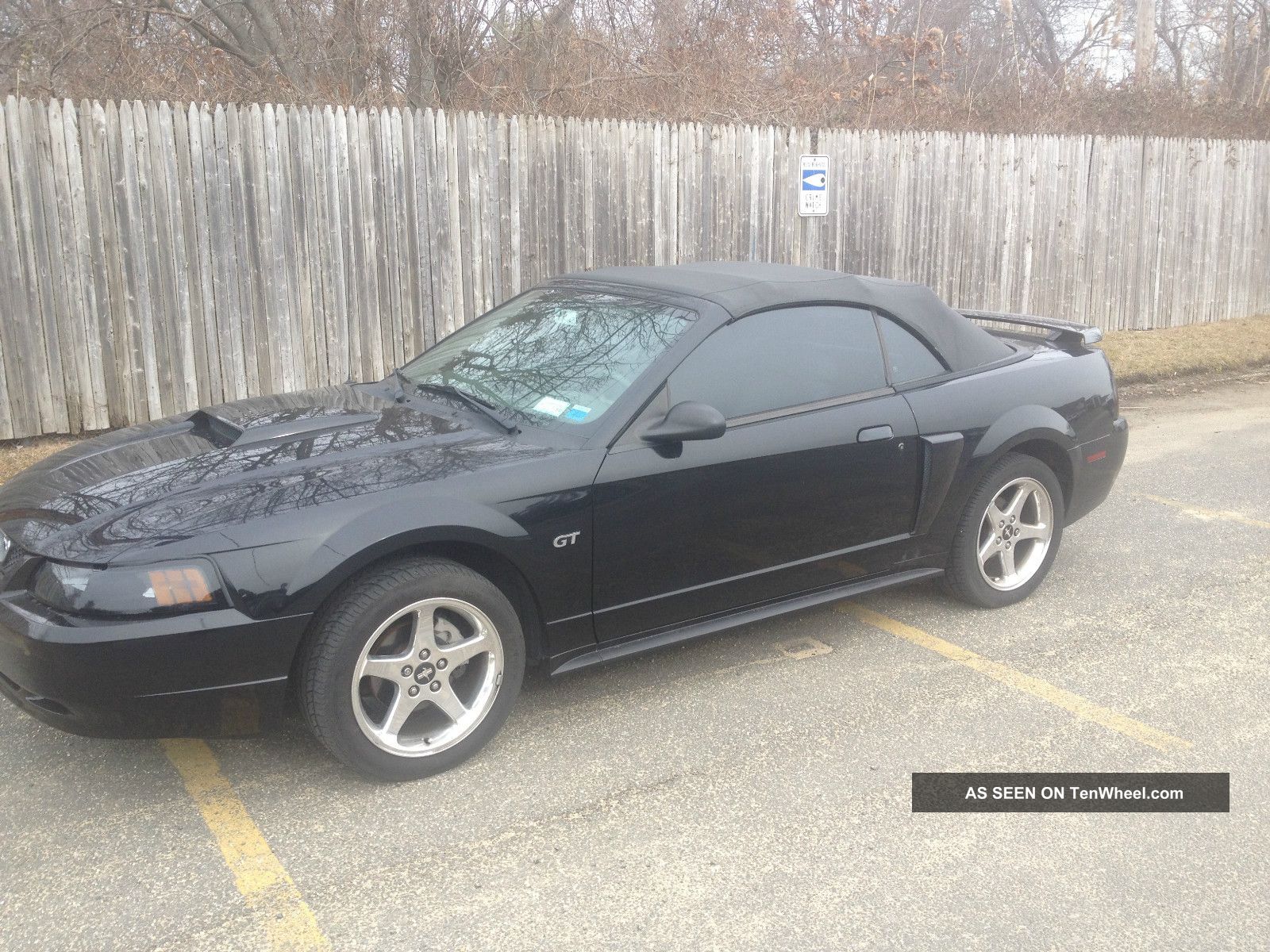 2003 Ford mustang gt convertible gas mileage #8