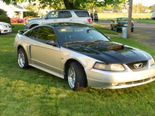 2002 Ford Mustang Gt Coupe 2 - Door 4.  6l photo