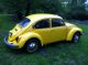 1971 Beetle Beetle - Classic photo 1
