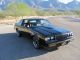 1987 Buick Regal Grand National 3.  8l Turbo V6 Only 46k Paint Grand National photo 2