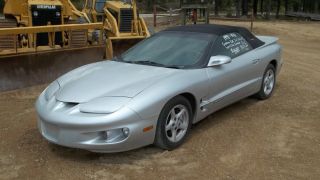 1998 Pontaic Firebird 3.  8l V6 Covertible photo