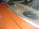 1979 Chevy Malibu 2 Door Coupe Bucket Seats Floor Shifter Zero Rust. . . Malibu photo 8