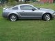 2006 Ford Mustang Gt Coupe 2 - Door 4.  6l Mustang photo 1
