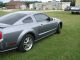 2006 Ford Mustang Gt Coupe 2 - Door 4.  6l Mustang photo 3