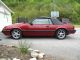 1986 Ford Mustang Lx Convertible - - Car - - 306,  5 Speed Mustang photo 1