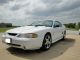 1997 Ford Mustang Svt Cobra Coupe 2 - Door 4.  6l Mustang photo 6