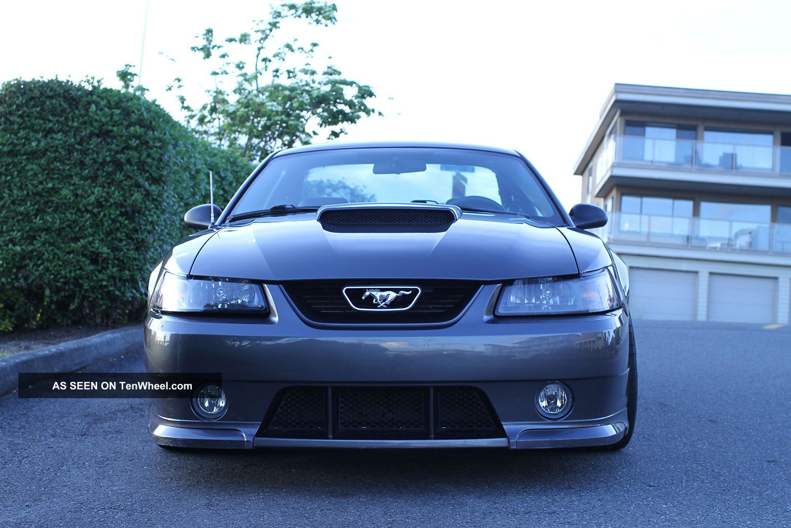 2003 Roush Stage 2 Mustang Mustang photo