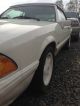 1993 Ford Mustang Triple White Fox Mustang photo 3