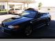 2002 Ford Mustang Gt Convertible 2 - Door 4.  6l Mustang photo 3