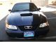 2002 Ford Mustang Gt Convertible 2 - Door 4.  6l Mustang photo 4