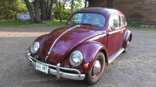 Volkswagen Beetle 1957 photo