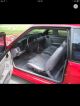 1993 Ford Mustang Gt Hatchback 2 - Door 5.  0l Mustang photo 3