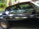 1980 Pontiac Firebird Turbo Trans Am Bandit Edition T - Tops 4.  9l V8 Trans Am photo 8