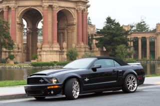 2007 Shelby Gt500 Snake Convertible photo