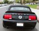 2007 Shelby Gt500 Snake Convertible Shelby photo 4