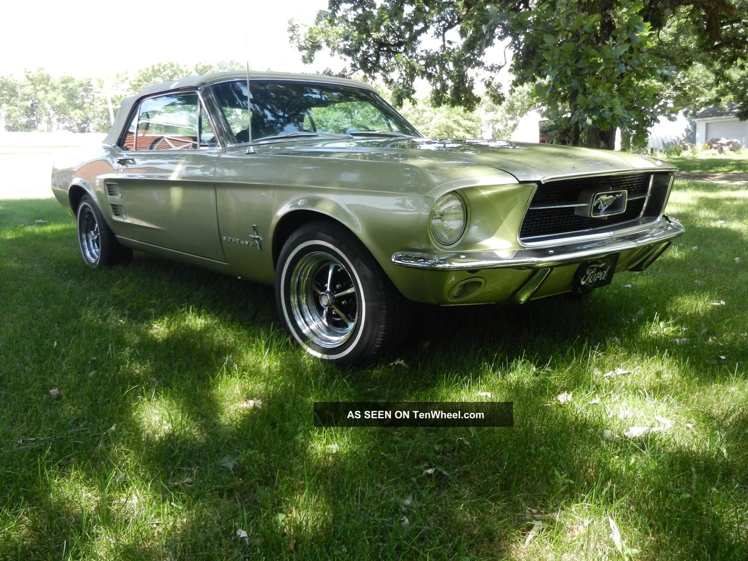 1967 Ford Mustang Base 4.  7l Mustang photo
