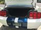 2007 Ford Mustang Gt Coupe 2 - Door 4.  6l Mustang photo 13