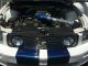 2007 Ford Mustang Gt Coupe 2 - Door 4.  6l Mustang photo 8