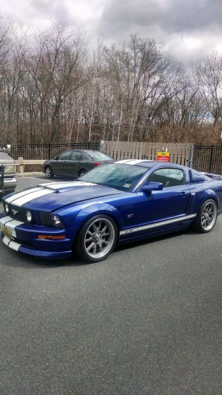 2005 Ford Mustang Gt Garage Kept Blue W / White Racing Stripe 4.  6l V - 8 305 H photo