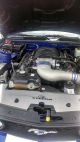 2005 Ford Mustang Gt Garage Kept Blue W / White Racing Stripe 4.  6l V - 8 305 H Mustang photo 2