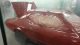 1964,  1967,  1969,  1971,  1974,  1975,  1976,  1977,  1978 Mustang,  Gt,  Cobra,  Shelby Mustang photo 8
