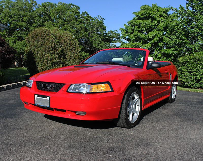 1999 Ford Mustang Gt Convertible - 35th Anniversary Year. Mustang photo