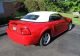 1999 Ford Mustang Gt Convertible - 35th Anniversary Year. Mustang photo 4
