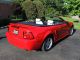 1999 Ford Mustang Gt Convertible - 35th Anniversary Year. Mustang photo 5