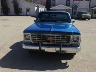 1976 Chevy Pick - Up C10 Unrestored Survived photo