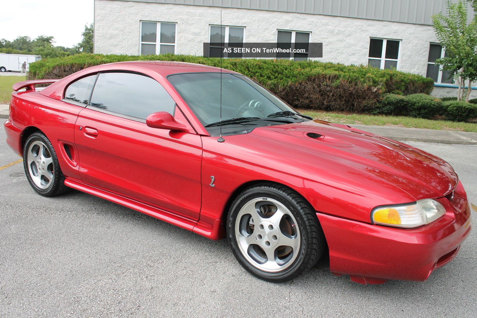 1996 Ford mustang cobra mpg #6