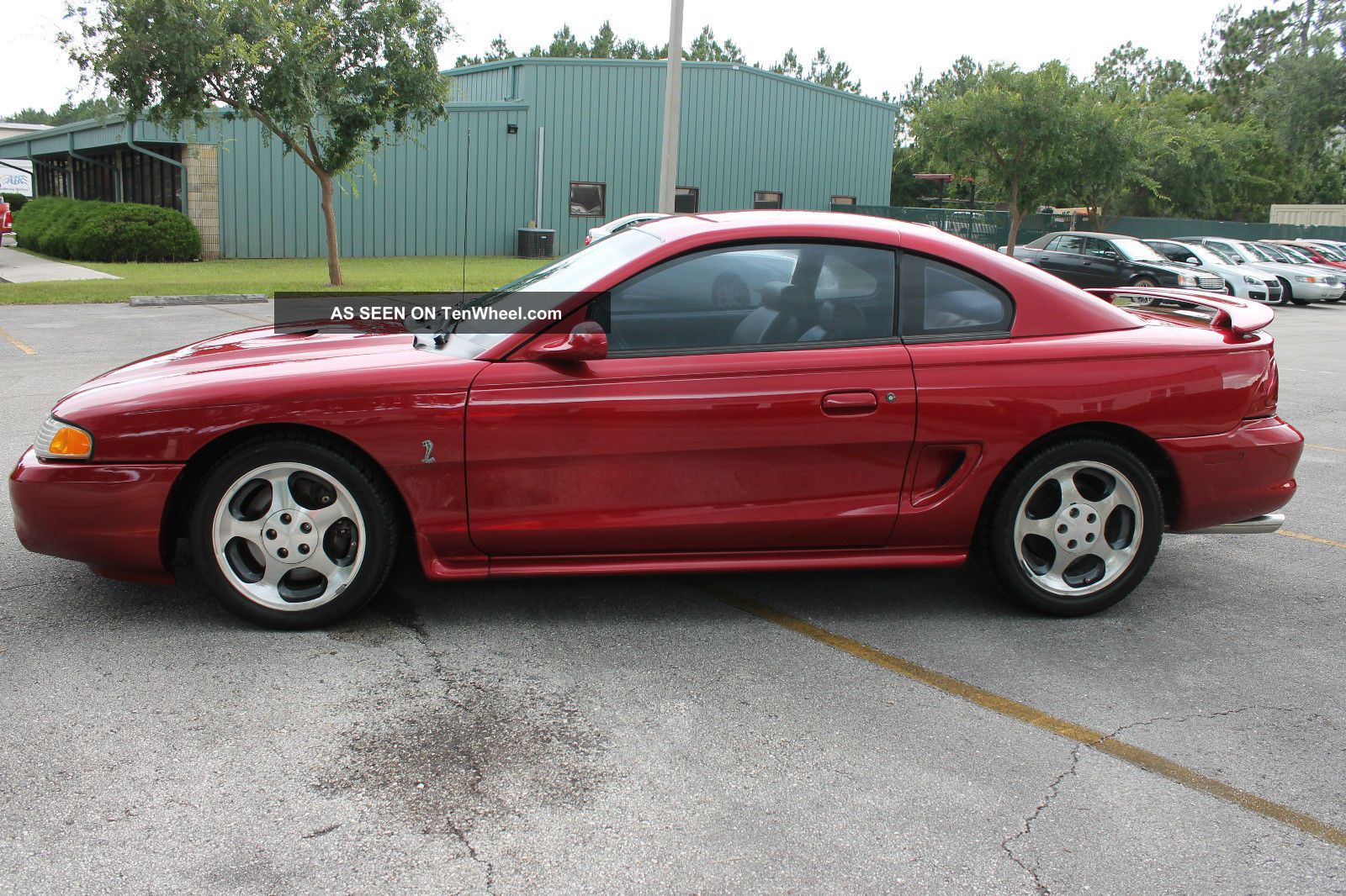 1996 Ford mustang cobra mpg #8