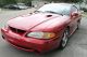 1996 Ford Mustang Svt Cobra - Red / Tan - Garaged - Fla - Kept - Lowest Mileage In The Usa Mustang photo 8