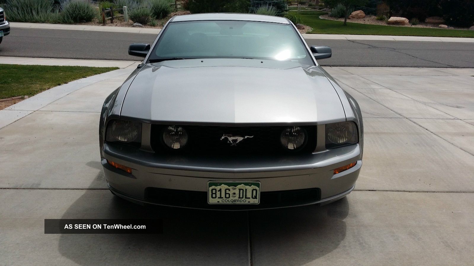 2008 Ford Mustang Gt Base Coupe 2 - Door 4.  6l Mustang photo