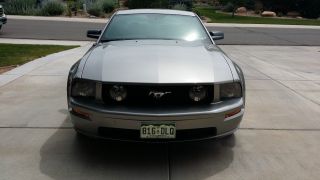 2008 Ford Mustang Gt Base Coupe 2 - Door 4.  6l photo