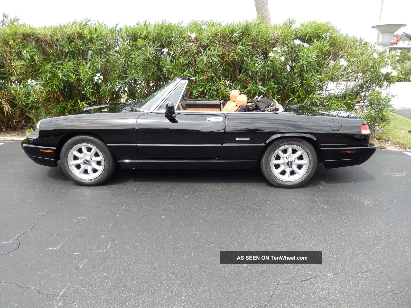 1991 Alfa Romeo Spider Black With Tan And All Accessories Work As They Should. Spider photo