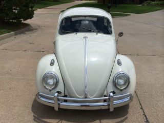 1963 Volkswagen Beetle photo