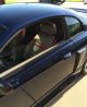 2002 - Ford Mustang Gt Roush Stage 2 + Supercharged - Coupe 2 - Door 4.  6l,  V8 Mustang photo 3