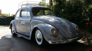 1964 Vw Bug / Beetle photo
