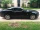 2013 Ford Mustang Premium Coupe 2 - Door 3.  7l Mustang photo 2