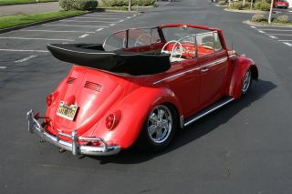 1964 Convertible Volkswagen Beetle / Bug photo